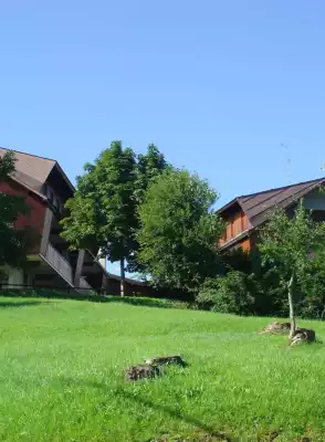 Tarvisio - Monolocale immerso nel verde su collina